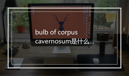 bulb of corpus cavernosum是什么意思