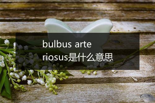 bulbus arteriosus是什么意思