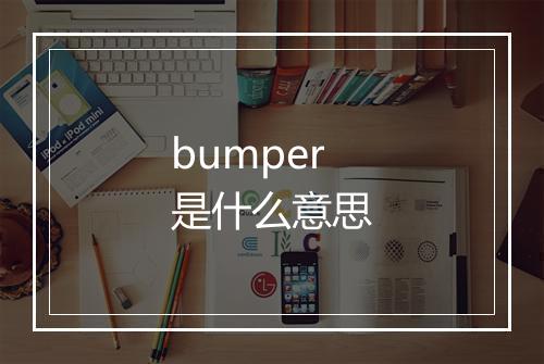 bumper是什么意思