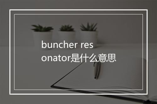 buncher resonator是什么意思