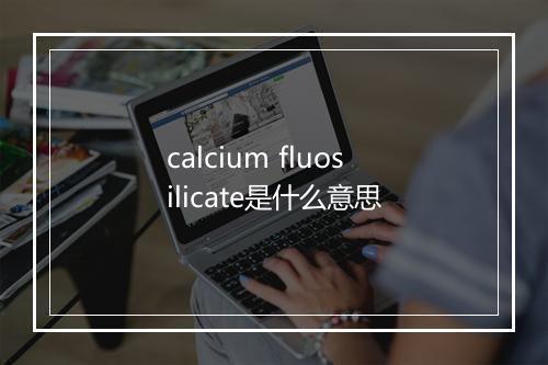 calcium fluosilicate是什么意思