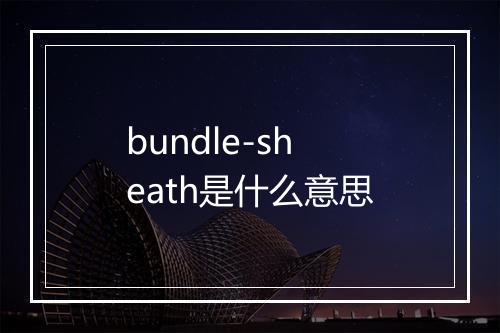 bundle-sheath是什么意思