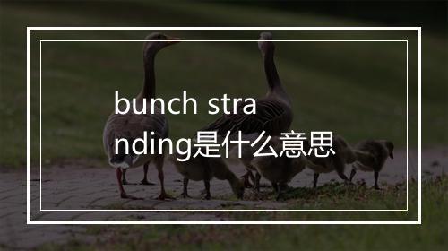 bunch stranding是什么意思