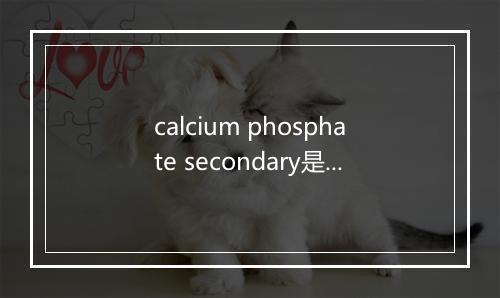 calcium phosphate secondary是什么意思