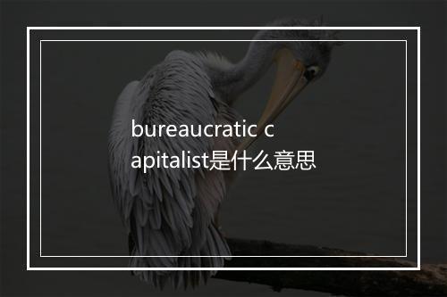 bureaucratic capitalist是什么意思