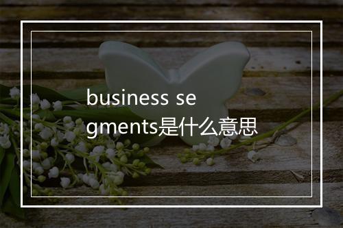 business segments是什么意思