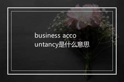 business accountancy是什么意思