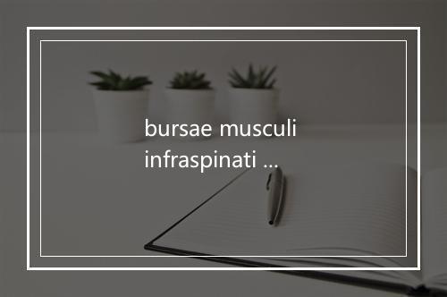 bursae musculi infraspinati subtendinea是什么意思