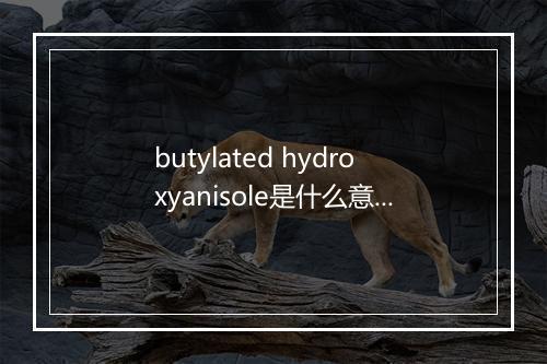 butylated hydroxyanisole是什么意思