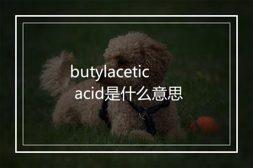 butylacetic acid是什么意思