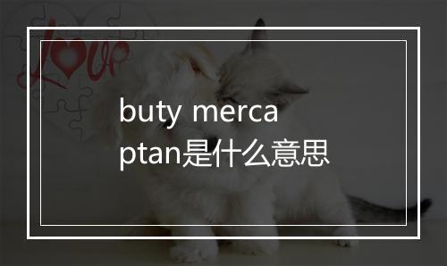 buty mercaptan是什么意思