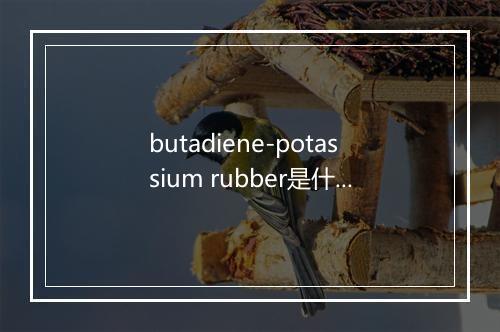 butadiene-potassium rubber是什么意思