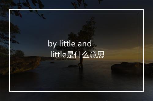 by little and little是什么意思