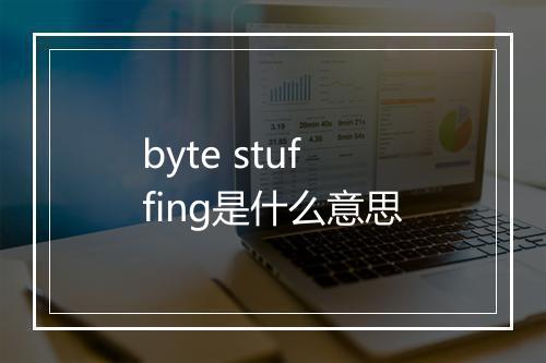 byte stuffing是什么意思