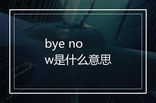 bye now是什么意思