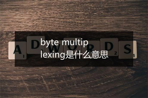 byte multiplexing是什么意思