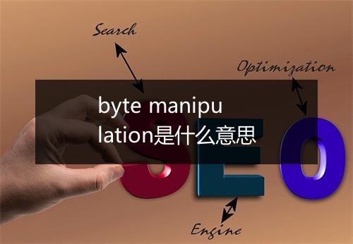 byte manipulation是什么意思