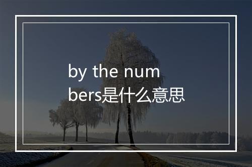 by the numbers是什么意思