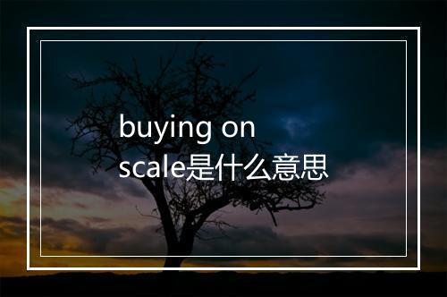 buying on scale是什么意思