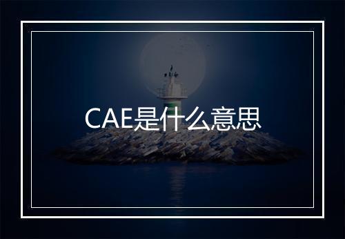 CAE是什么意思