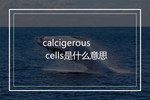 calcigerous cells是什么意思