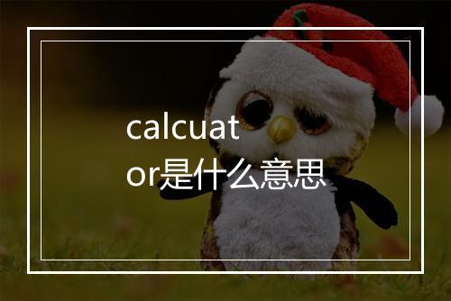 calcuator是什么意思