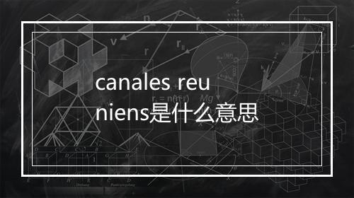 canales reuniens是什么意思