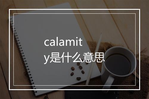 calamity是什么意思