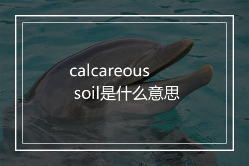 calcareous soil是什么意思