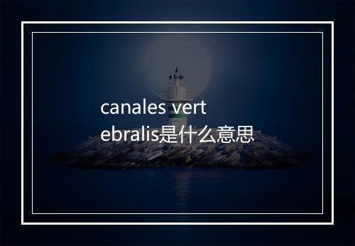 canales vertebralis是什么意思