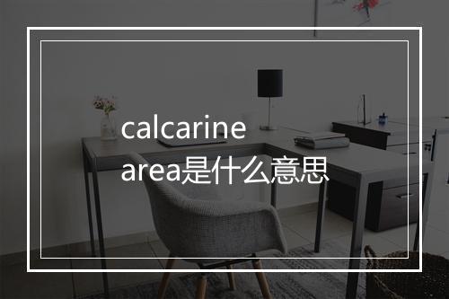 calcarine area是什么意思