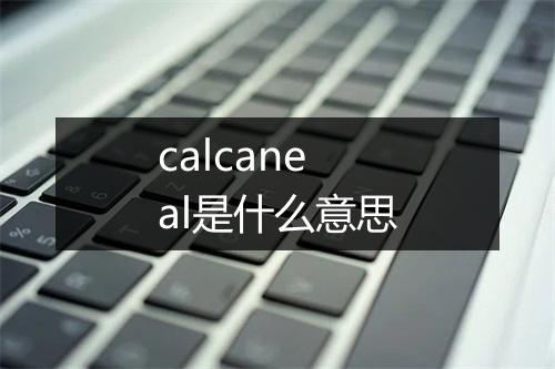 calcaneal是什么意思