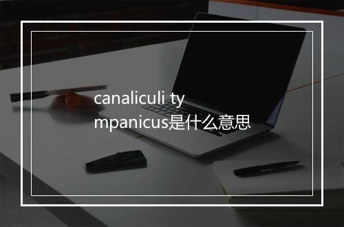 canaliculi tympanicus是什么意思