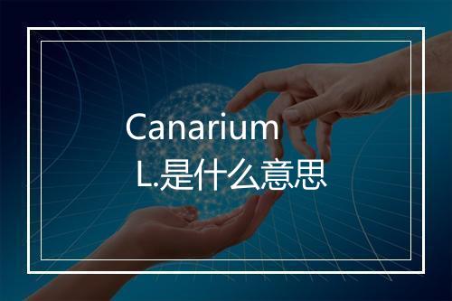 Canarium L.是什么意思