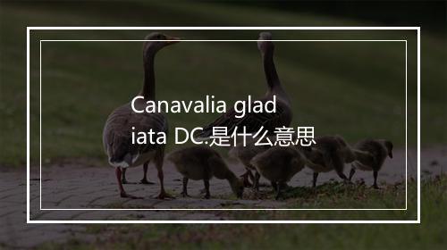 Canavalia gladiata DC.是什么意思