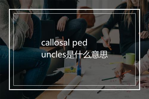 callosal peduncles是什么意思