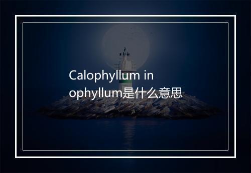 Calophyllum inophyllum是什么意思