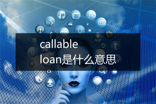 callable loan是什么意思