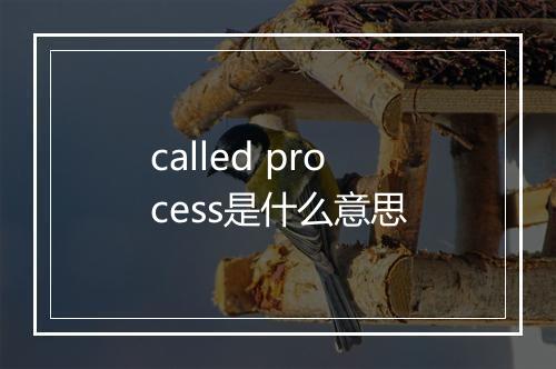 called process是什么意思