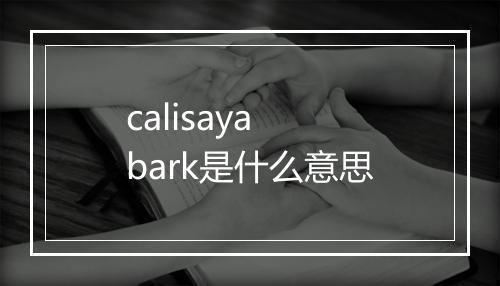 calisaya bark是什么意思