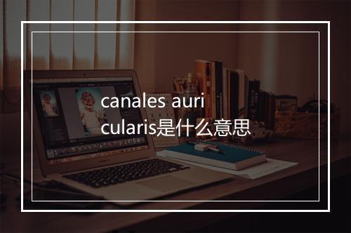 canales auricularis是什么意思