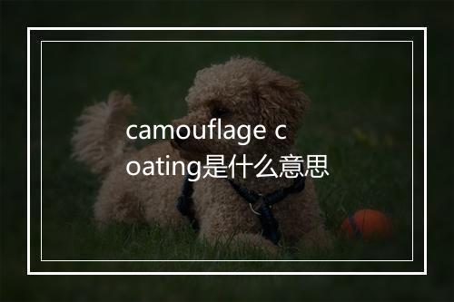 camouflage coating是什么意思