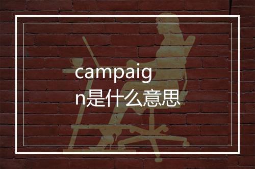 campaign是什么意思