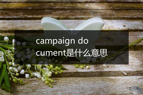 campaign document是什么意思