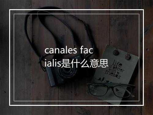 canales facialis是什么意思