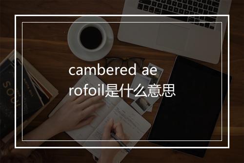 cambered aerofoil是什么意思