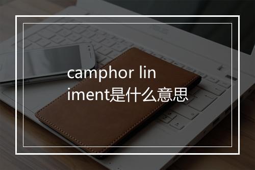 camphor liniment是什么意思