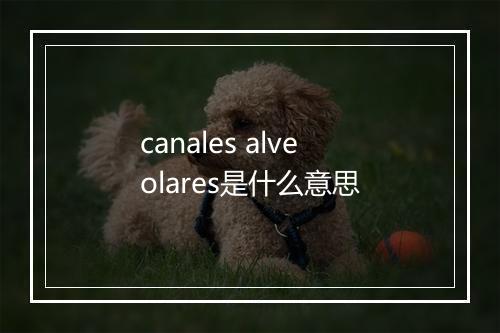 canales alveolares是什么意思