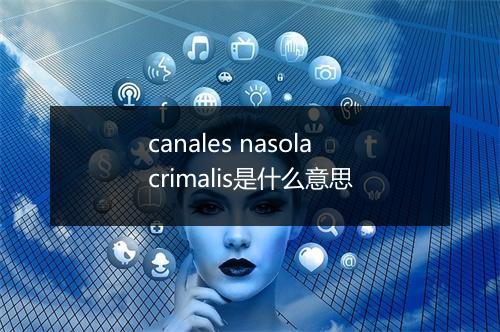 canales nasolacrimalis是什么意思