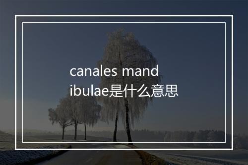 canales mandibulae是什么意思